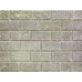 Stonemarket PaveDrive Pavior Block Paving - Natural - 200 x 100 x 50mm