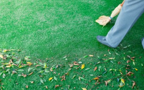 How to clean artificial grass